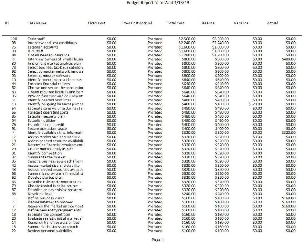 Budget Report – Project Plan 365