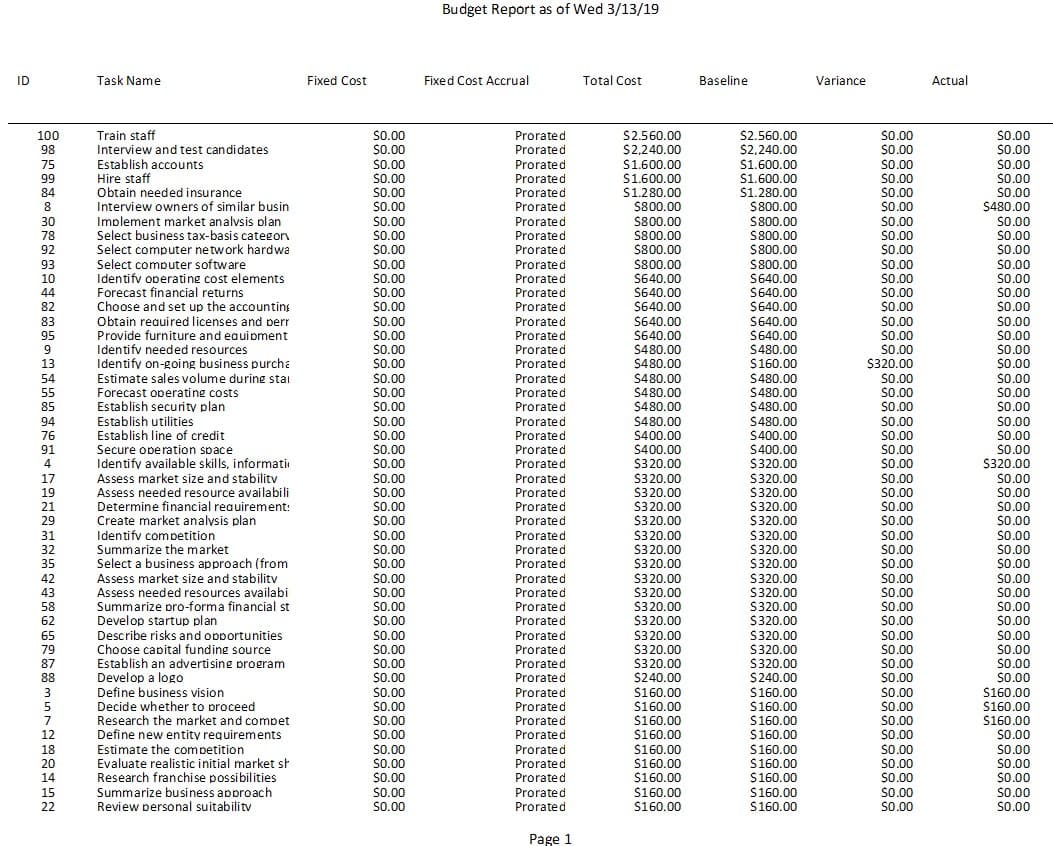 Budget Report Project Plan 365