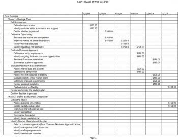 Cash Flow Report – Project Plan 365