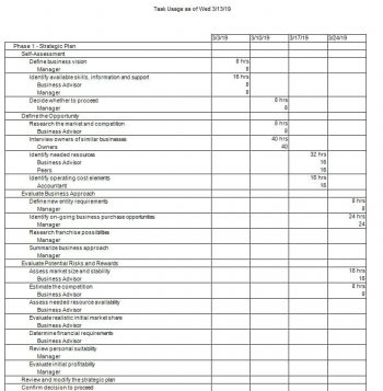 Task Usage Report - Project Plan 365