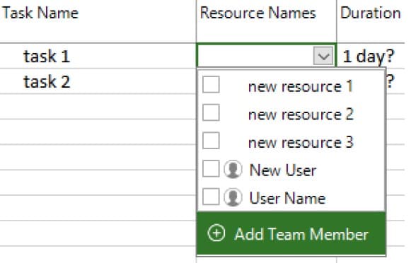 add new column in project plan 365