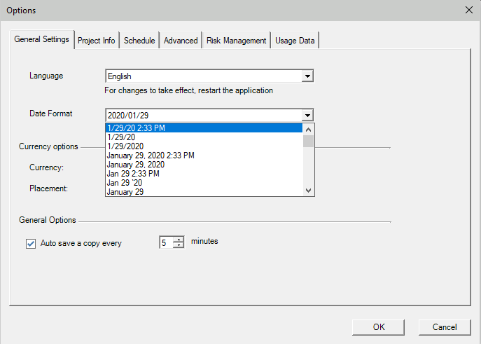 Date Format – Project Plan 365