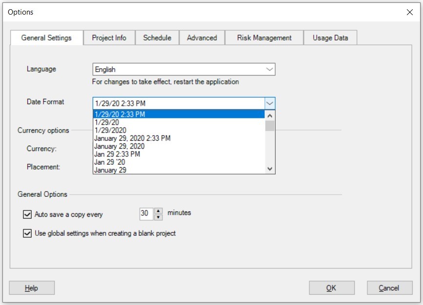 Date Format Project Plan 365