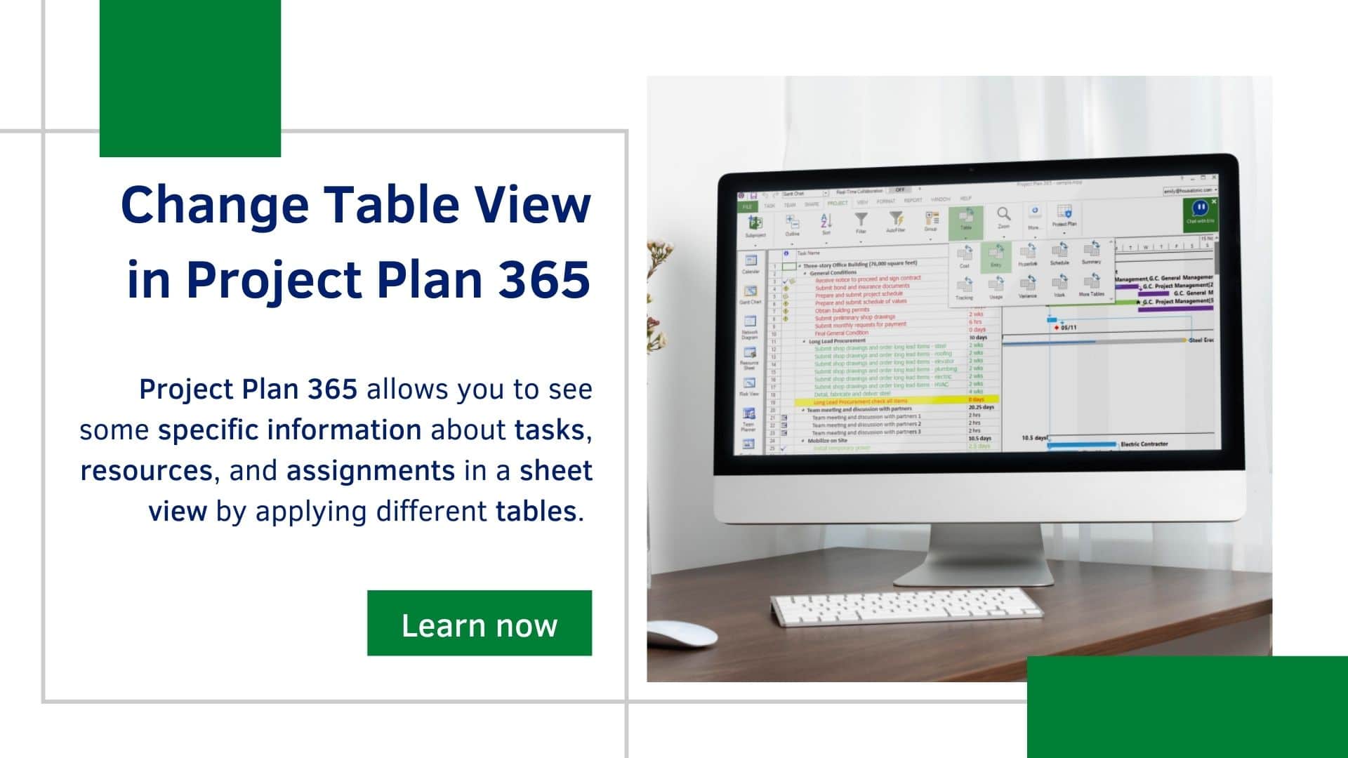 showing critical path in project plan 365